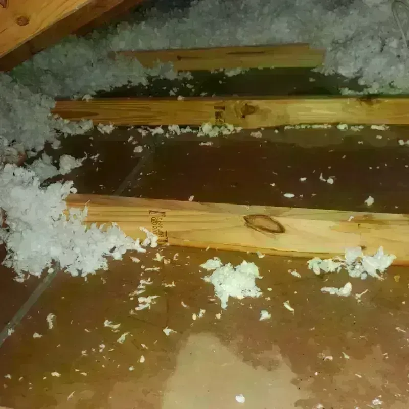 Attic Water Damage in Village of Campton Hills, IL